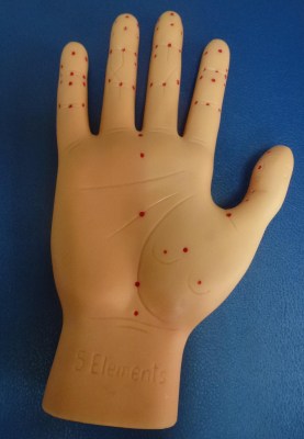 Model of right hand